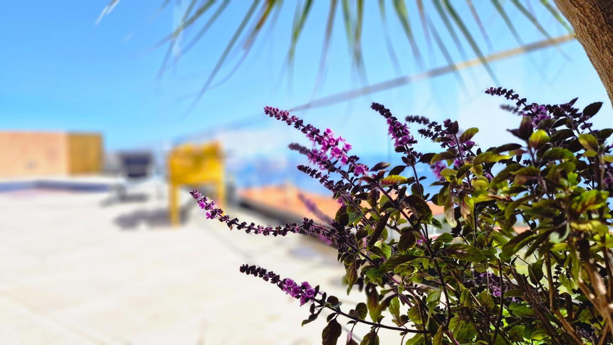 Eden Sun - A Modern Luxury Villa With A Panoramic View Prazeres Exterior foto